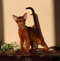 sansara_03.jpg