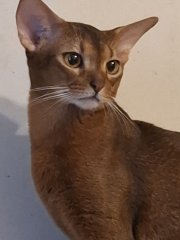 photo_2026-01-27_12-08-39.jpg